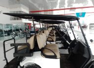 EZGO S4 Gasoline Golf Cart